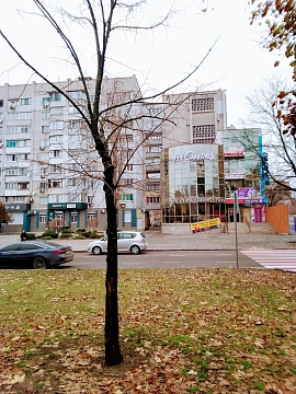 2 rooms apartments daily Mykolayiv, TSentralnyy district, TSentralnyy Ave., 140