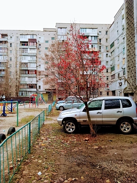 1 room apartments daily Mykolayiv, TSentralnyy district, TSentralnyy Ave., 140