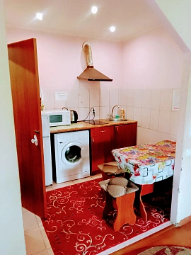 2 rooms apartments daily Mykolayiv, TSentralnyy district, CHkalova St., 82а