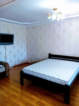 Однокомнатная квартира посуточно в Луцке, ул. Винниченко, 49