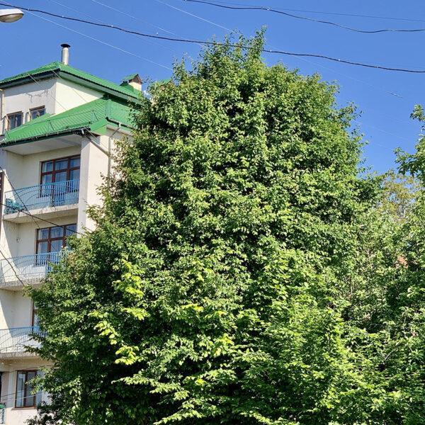 Готель РеВіта Трускавець