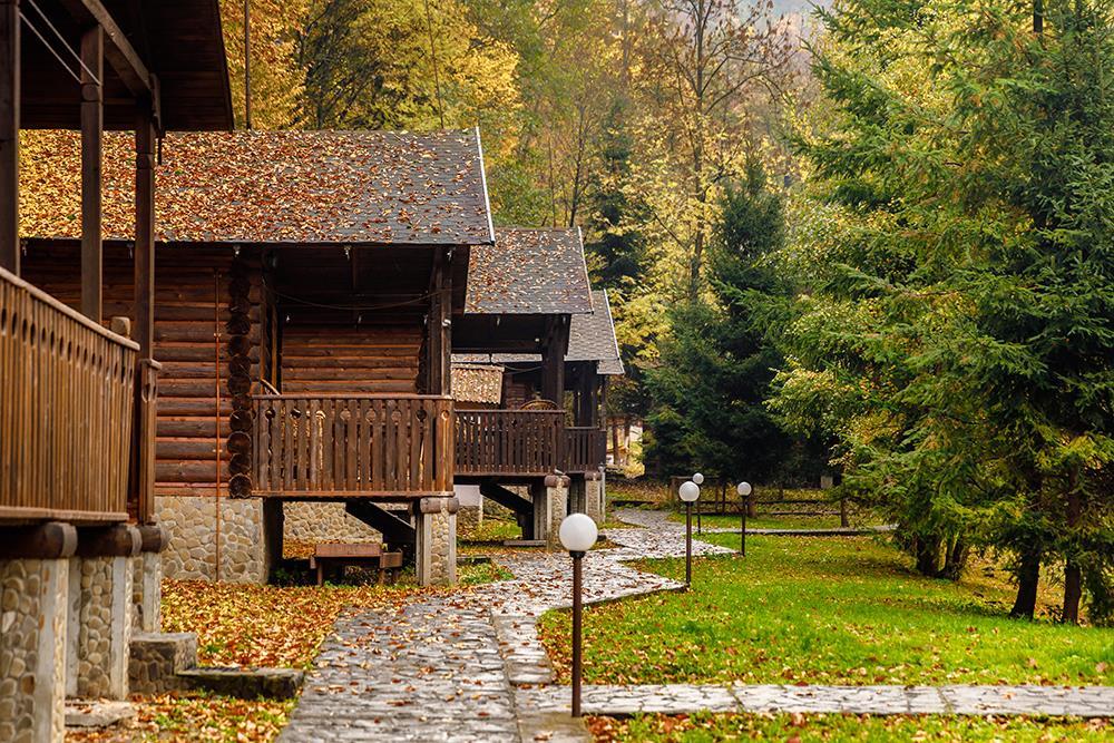 Воєводино Закарпаття