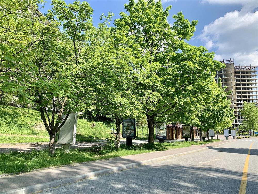 Кристал ціни