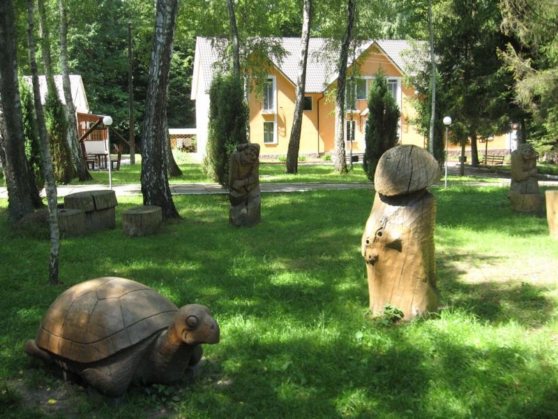 Санаторій Березовий Гай Хмільник
