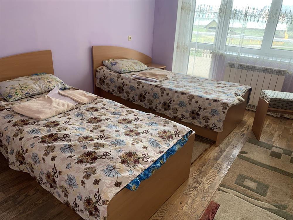 Двомісний стандарт