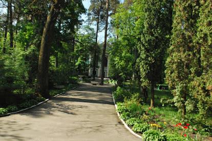 Большая территория Санаторий Украина Ворзель