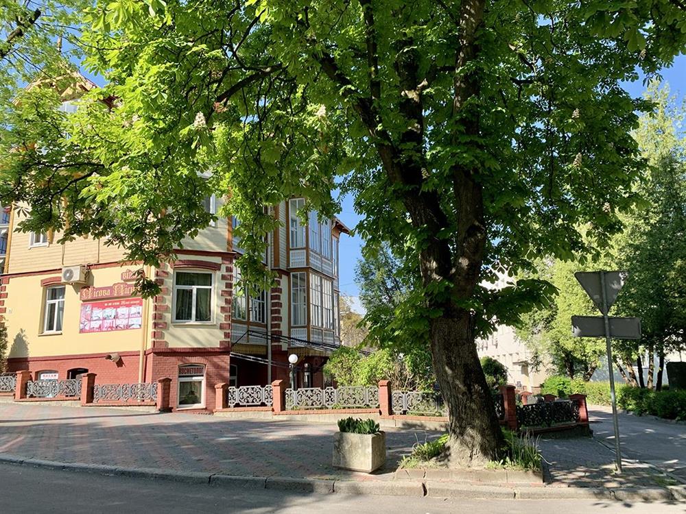 Вілла Лісова Пісня Трускавець