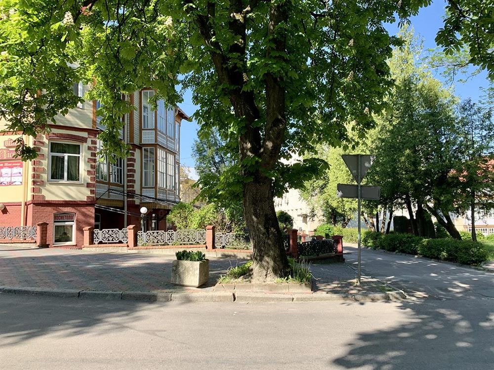 Вілла Лісова Пісня Трускавець